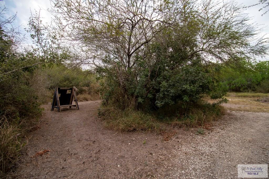 1224 N Illinois Ave, BROWNSVILLE, Texas image 38