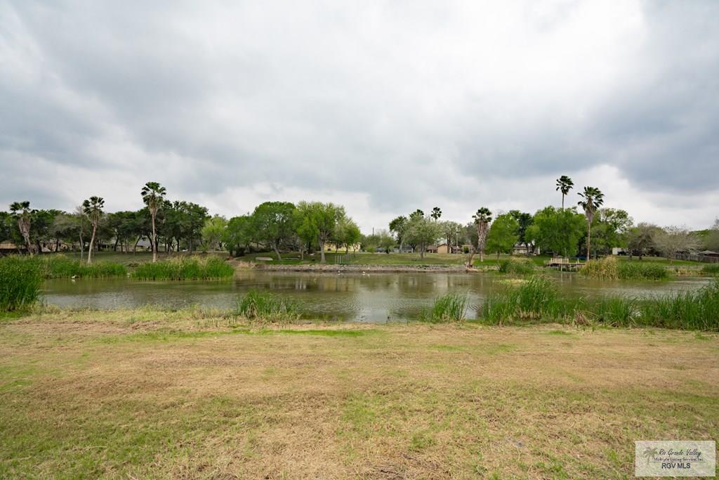 25058 Teal Cir, SAN BENITO, Texas image 36