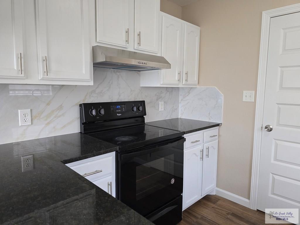 6994 Blue Spruce St, BROWNSVILLE, Texas image 7