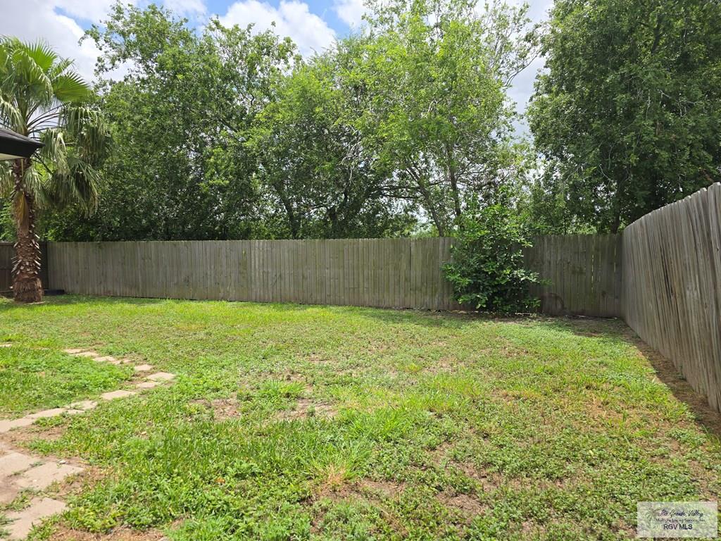 6994 Blue Spruce St, BROWNSVILLE, Texas image 30