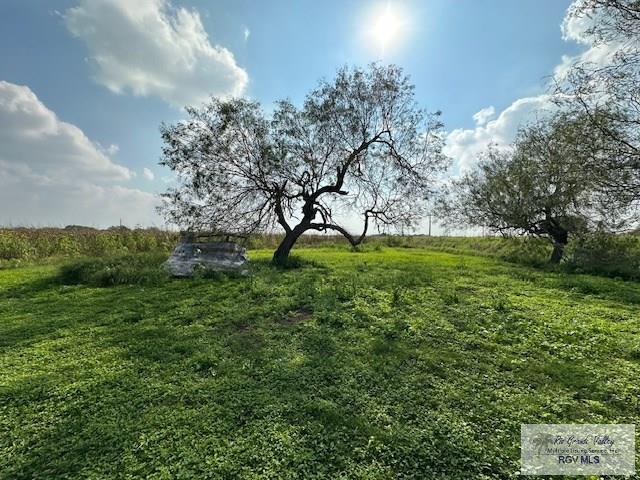 Line 26 Rd, SAN BENITO, Texas image 6