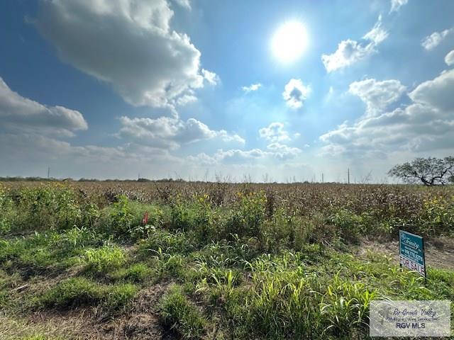 Line 26 Rd, SAN BENITO, Texas image 8