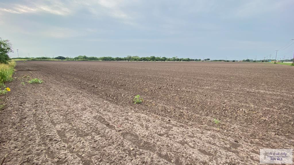 Rangerville Rd, SAN BENITO, Texas image 3
