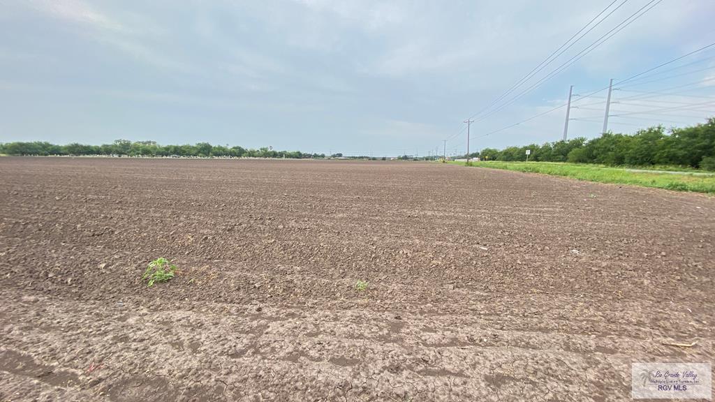 Rangerville Rd, SAN BENITO, Texas image 4