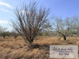 Vacant Land For Sale - 000 Gamble Rd<br/> SAN BENITO, TX 78006