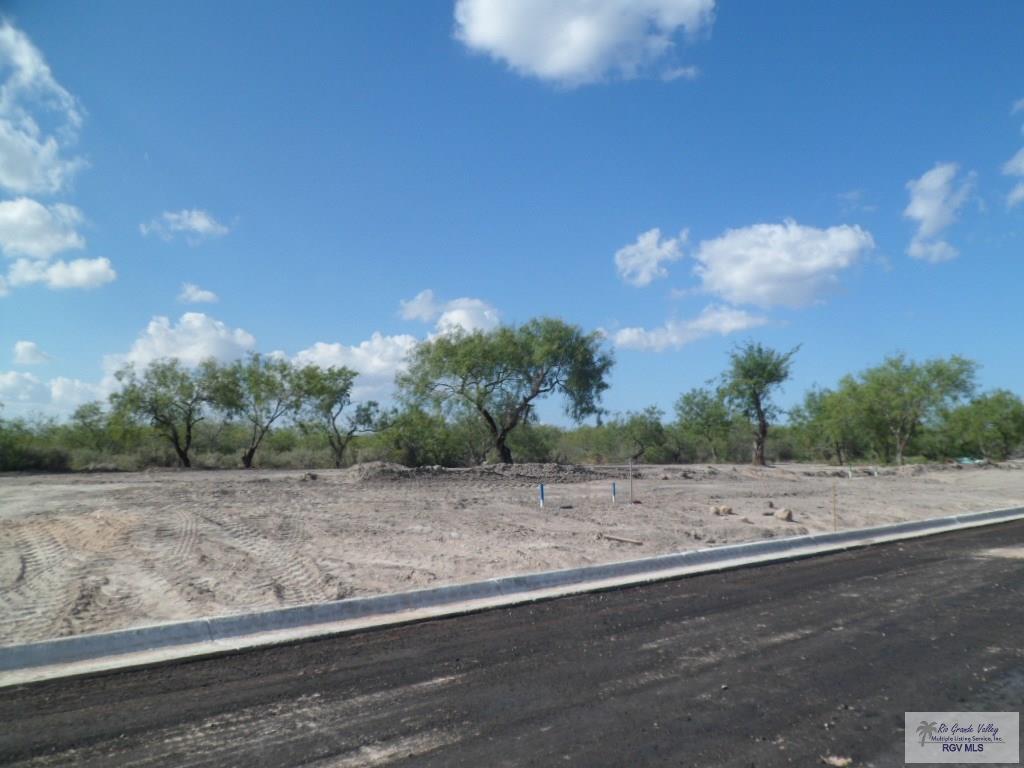 LOT 15 Circulo Paradise, SAN BENITO, Texas image 2