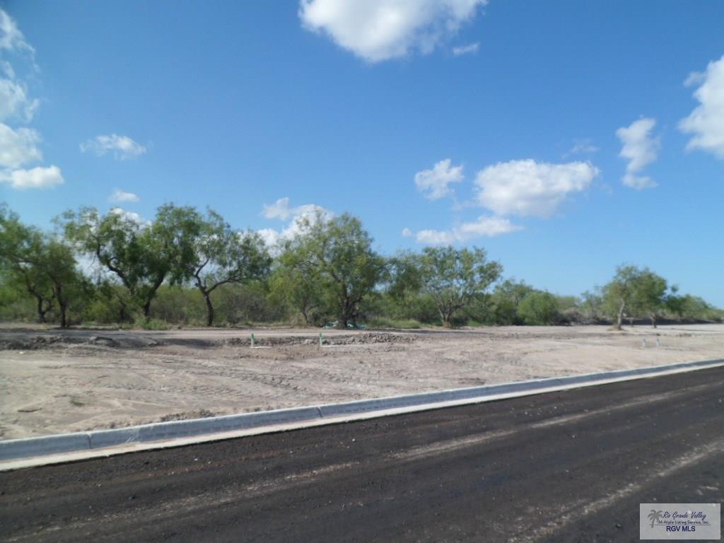 LOT 15 Circulo Paradise, SAN BENITO, Texas image 7