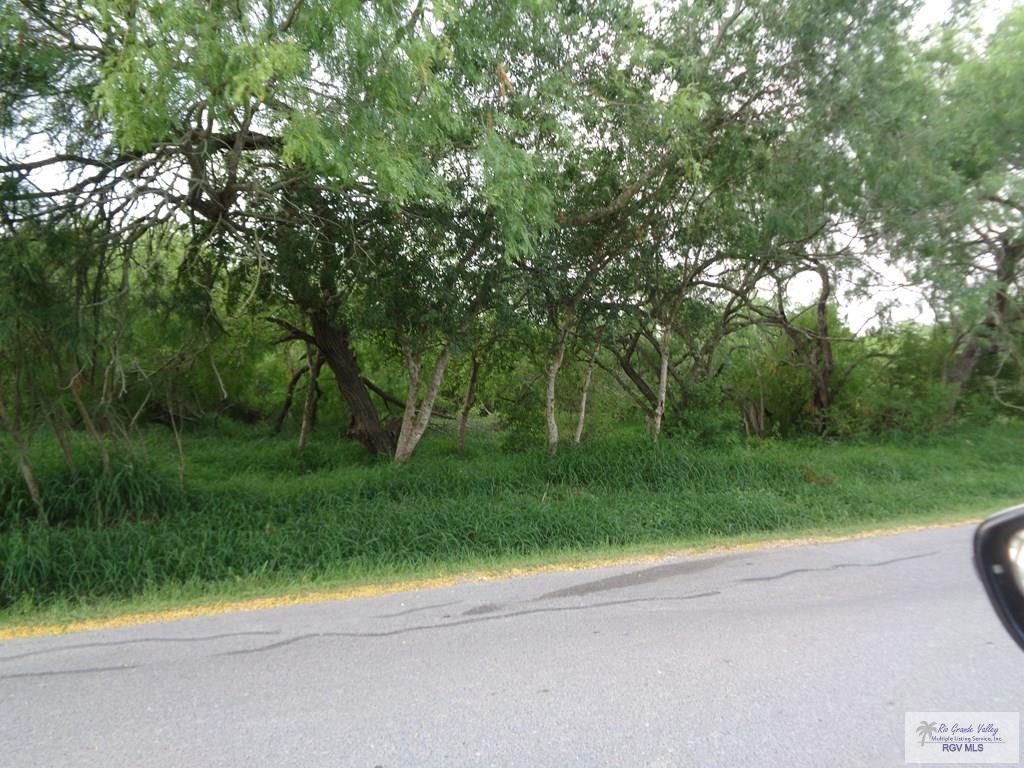 Houston Rd, BROWNSVILLE, Texas image 4