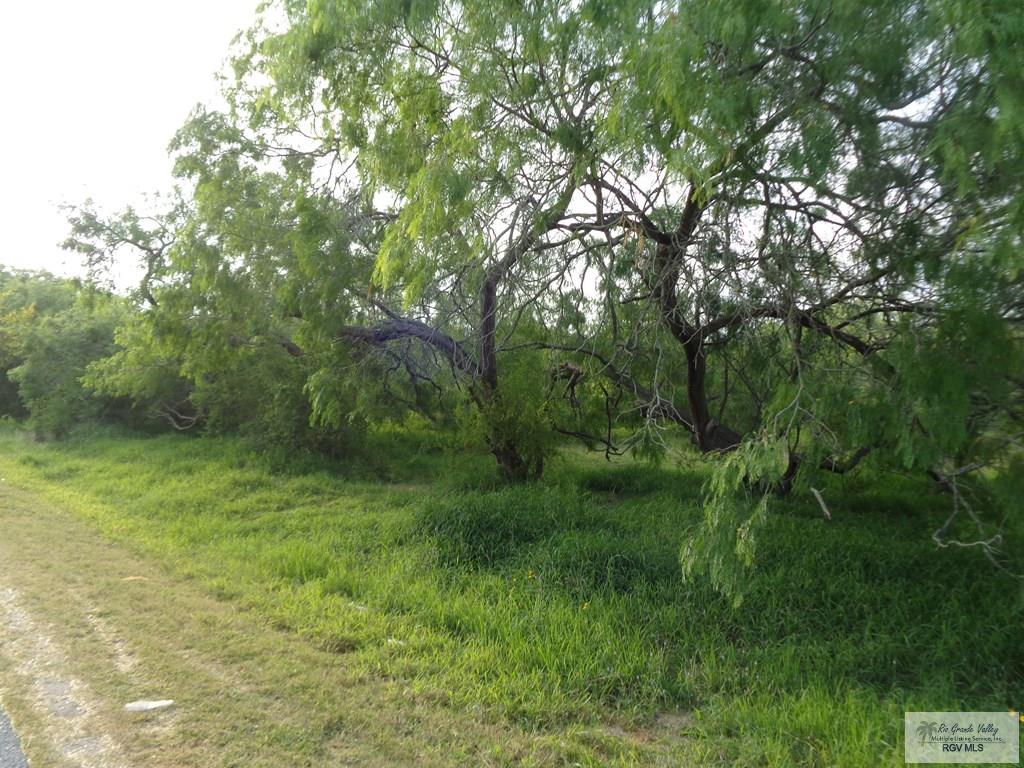 Houston Rd, BROWNSVILLE, Texas image 7
