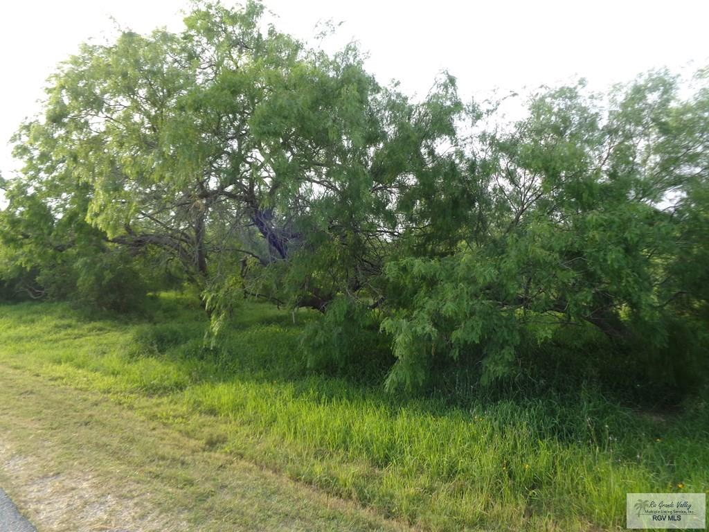 Houston Rd, BROWNSVILLE, Texas image 6