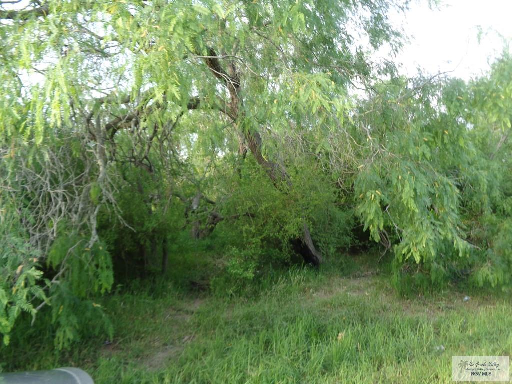 Houston Rd, BROWNSVILLE, Texas image 8
