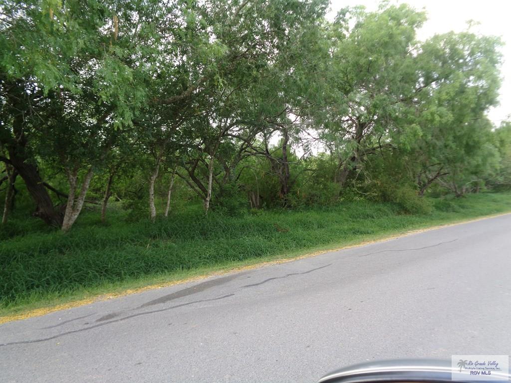 Houston Rd, BROWNSVILLE, Texas image 5