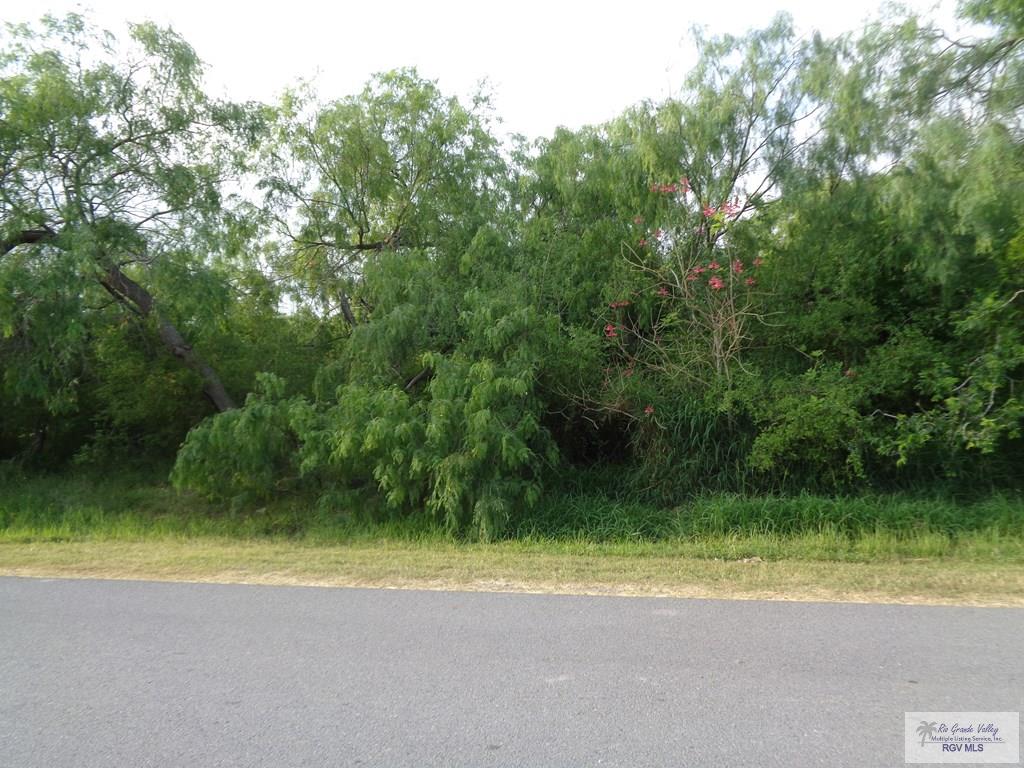 Houston Rd, BROWNSVILLE, Texas image 3