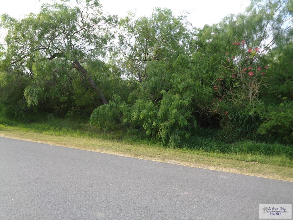 Houston Rd, BROWNSVILLE, Texas image 2