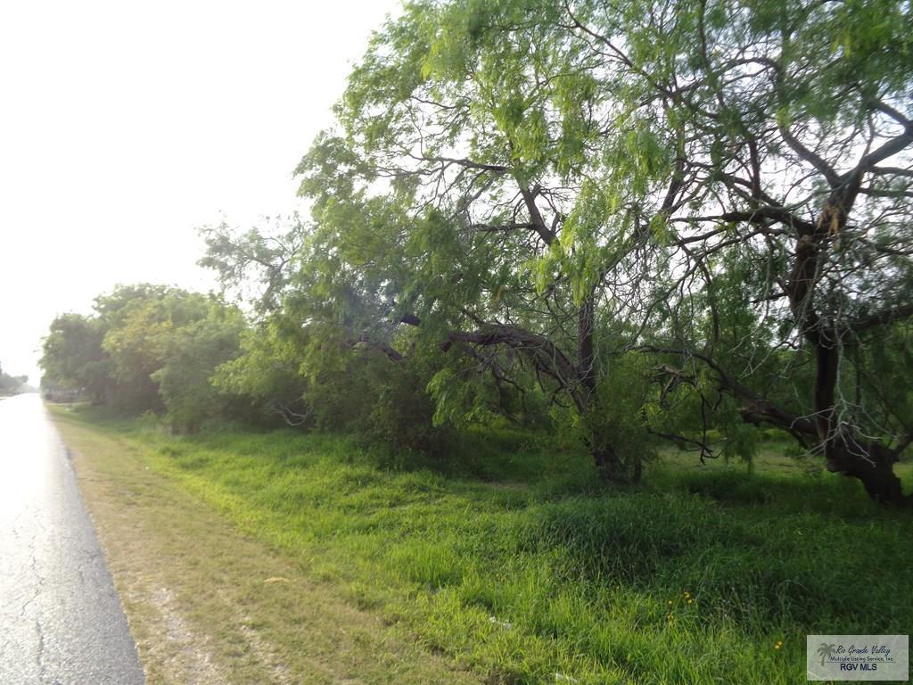 Houston Rd, BROWNSVILLE, Texas image 1