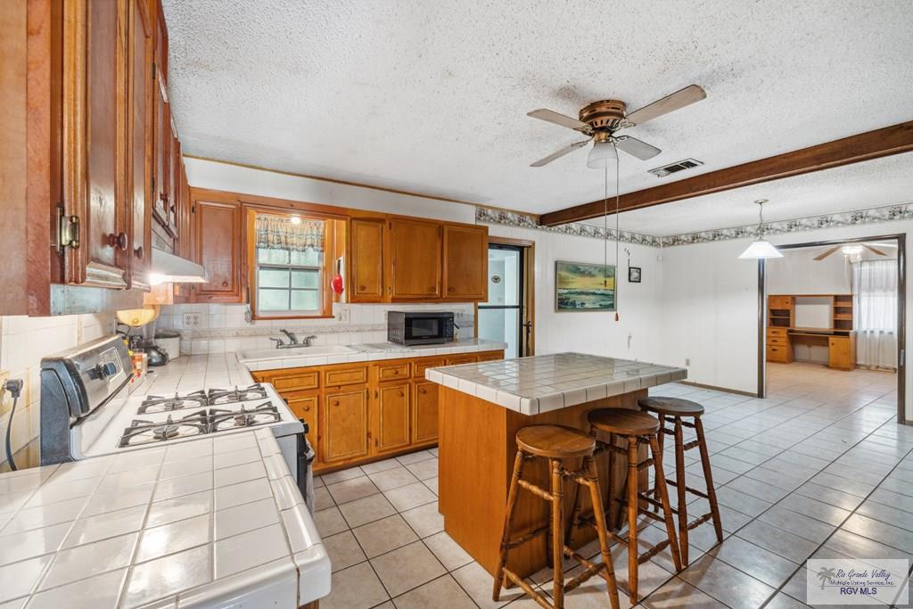 734 Billy Mitchell Blvd, BROWNSVILLE, Texas image 7
