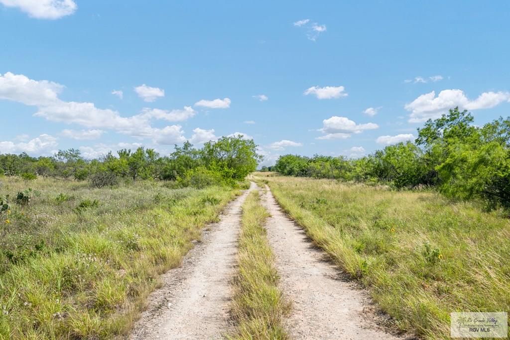 27114 Fm 1017, SAN ISIDRO, Texas image 26