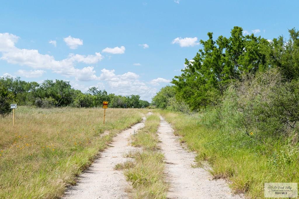 27114 Fm 1017, SAN ISIDRO, Texas image 25