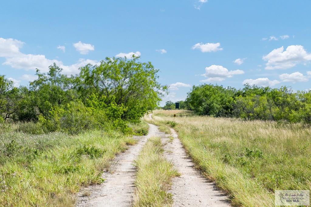 27114 Fm 1017, SAN ISIDRO, Texas image 27