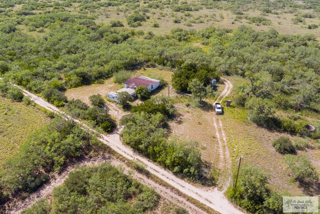 27114 Fm 1017, SAN ISIDRO, Texas image 9