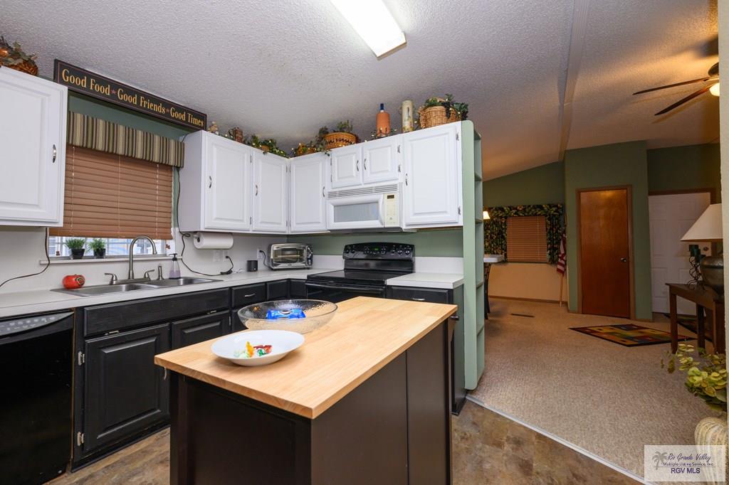 25398 Golden Rod Ln, HARLINGEN, Texas image 10