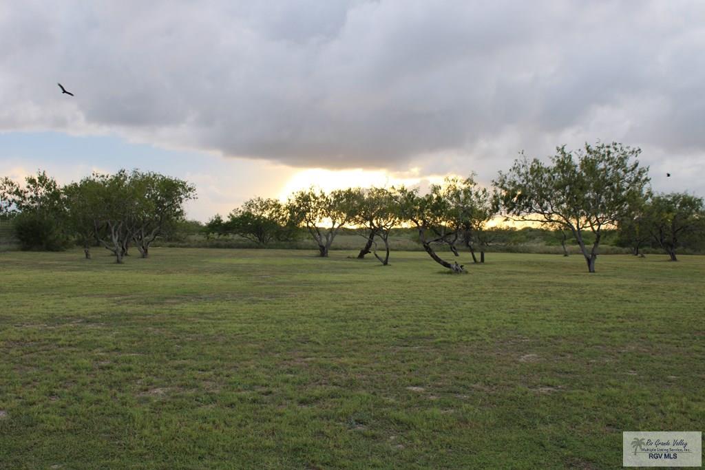 343 N Harbour Dr, PORT MANSFIELD, Texas image 4