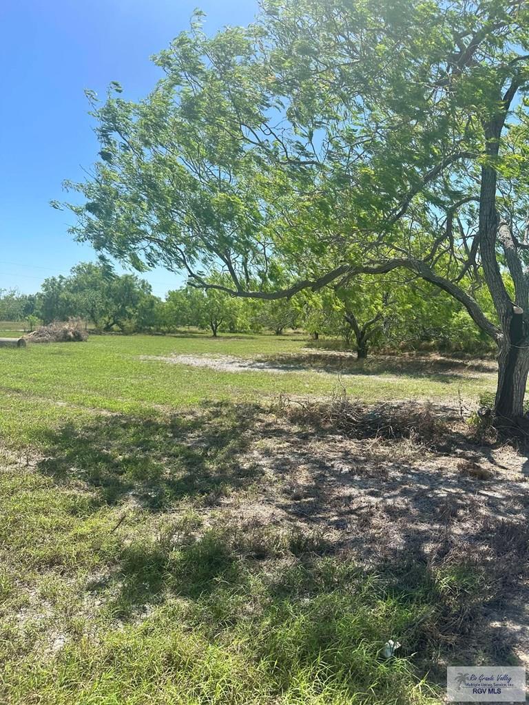 27122 Fm 803, SAN BENITO, Texas image 3