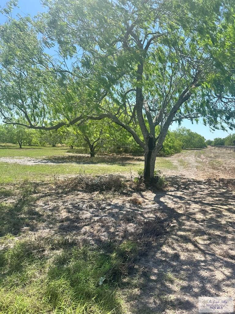 27122 Fm 803, SAN BENITO, Texas image 4
