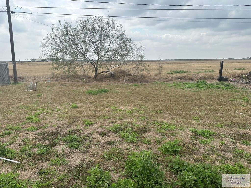 31101 Eustolio Gonzalez Rd, RAYMONDVILLE, Texas image 7