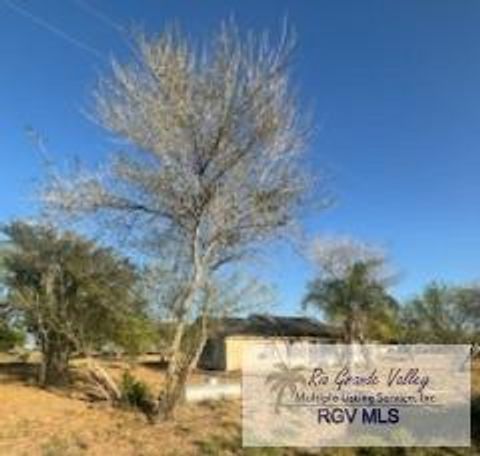 Homes For Sale - 0000 W Cantu Rd<br/> SANTA ROSA, TX 78593