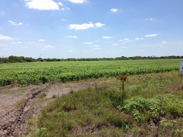 61.71 Acres Us Highway 281, BROWNSVILLE, Texas image 2