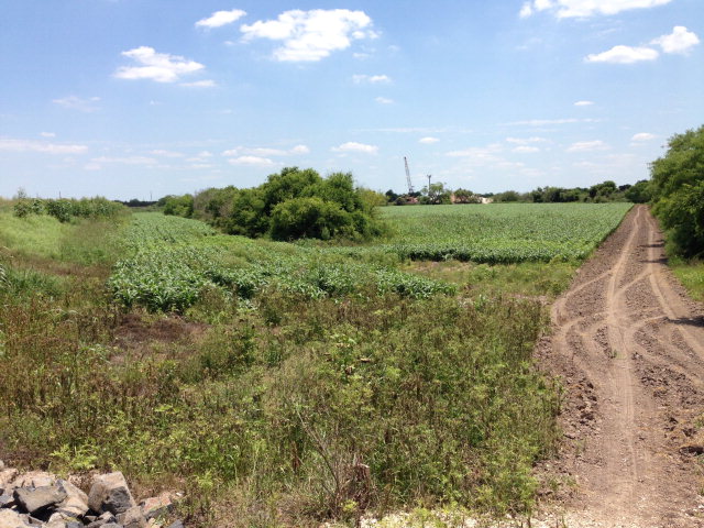 61.71 Acres Us Highway 281, BROWNSVILLE, Texas image 10