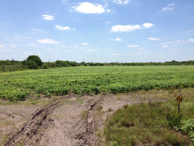 61.71 Acres Us Highway 281, BROWNSVILLE, Texas image 6