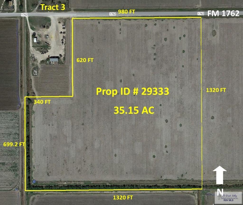 35.15 Ac. E Fm 1762, RAYMONDVILLE, Texas image 3