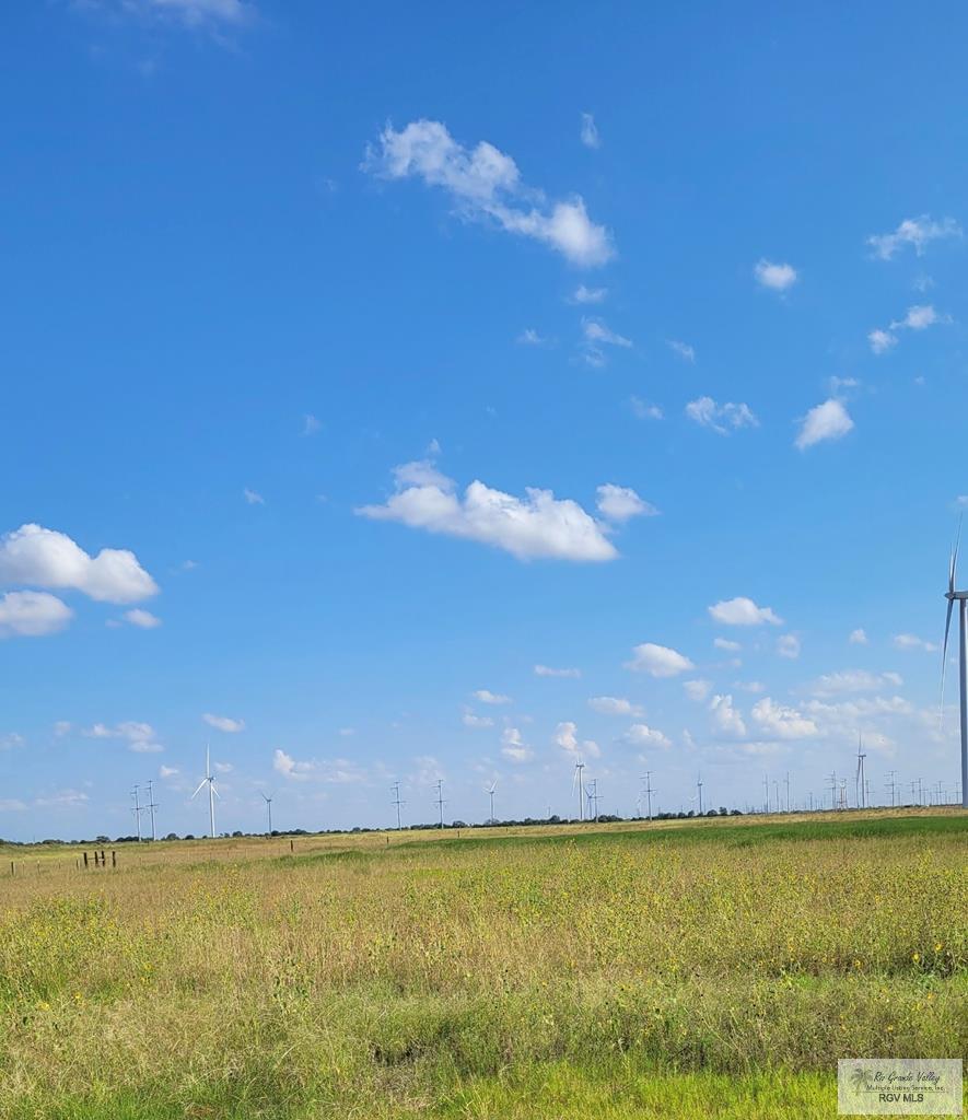 Rancho Alegre Rd, SEBASTIAN, Texas image 3