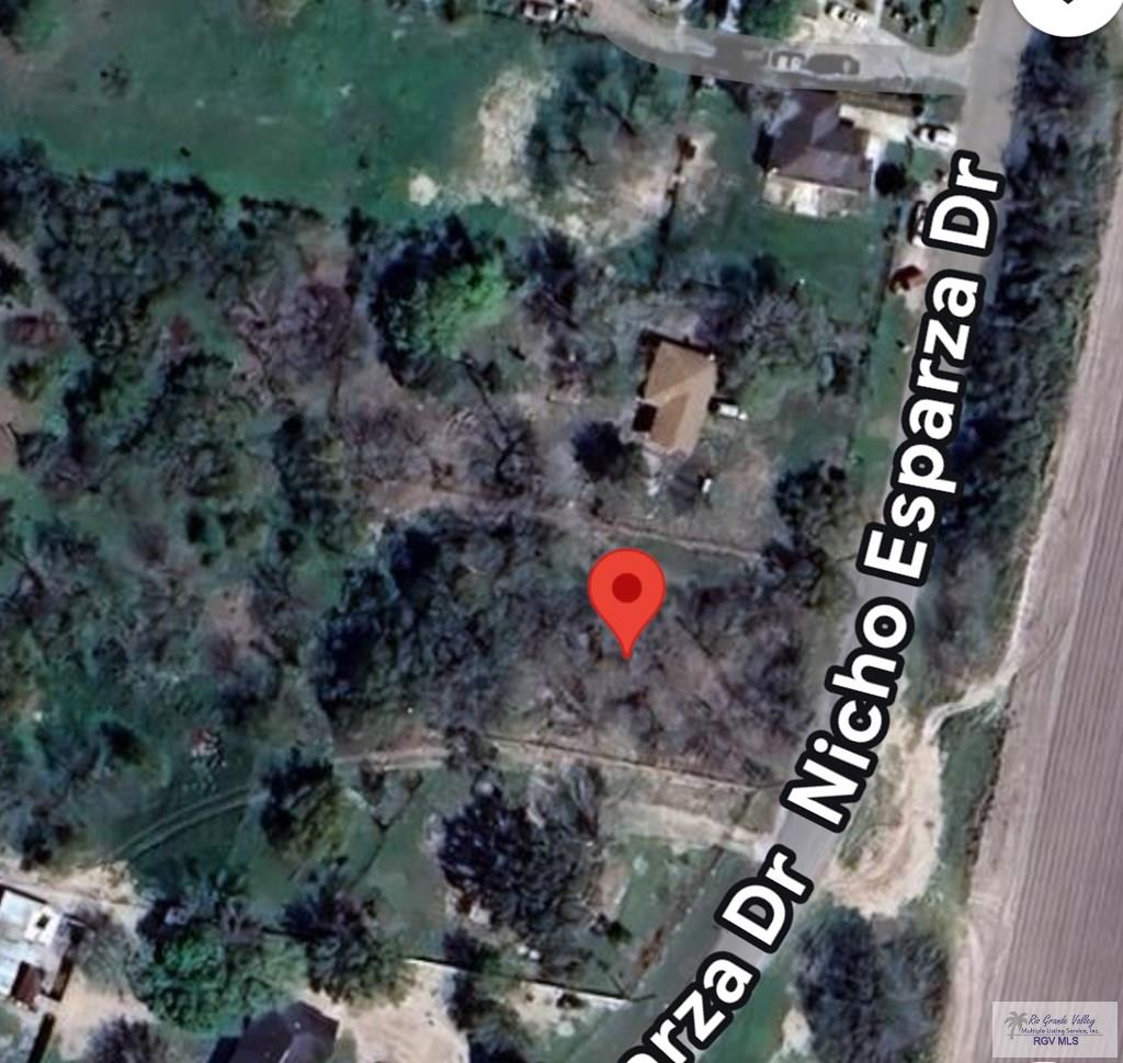 37164 Nicho Esparza Rd, SAN BENITO, Texas image 4