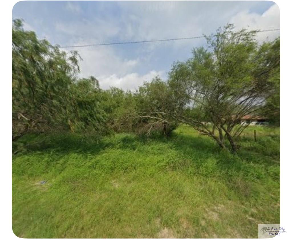 37164 Nicho Esparza Rd, SAN BENITO, Texas image 5