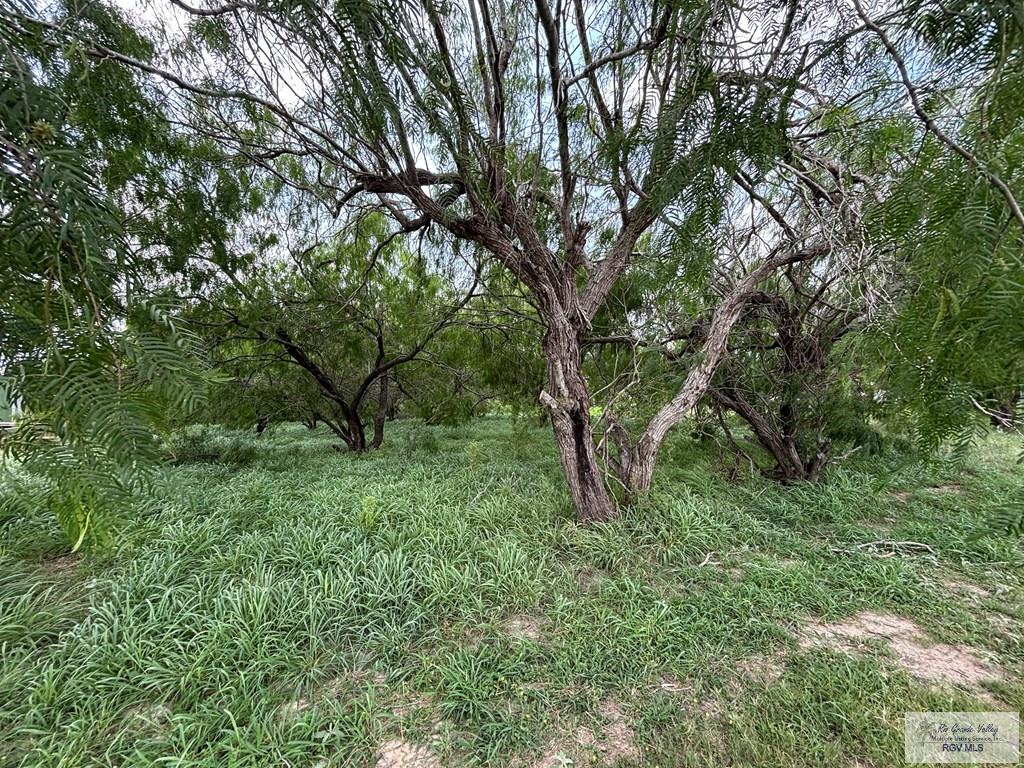 37164 Nicho Esparza Rd, SAN BENITO, Texas image 3