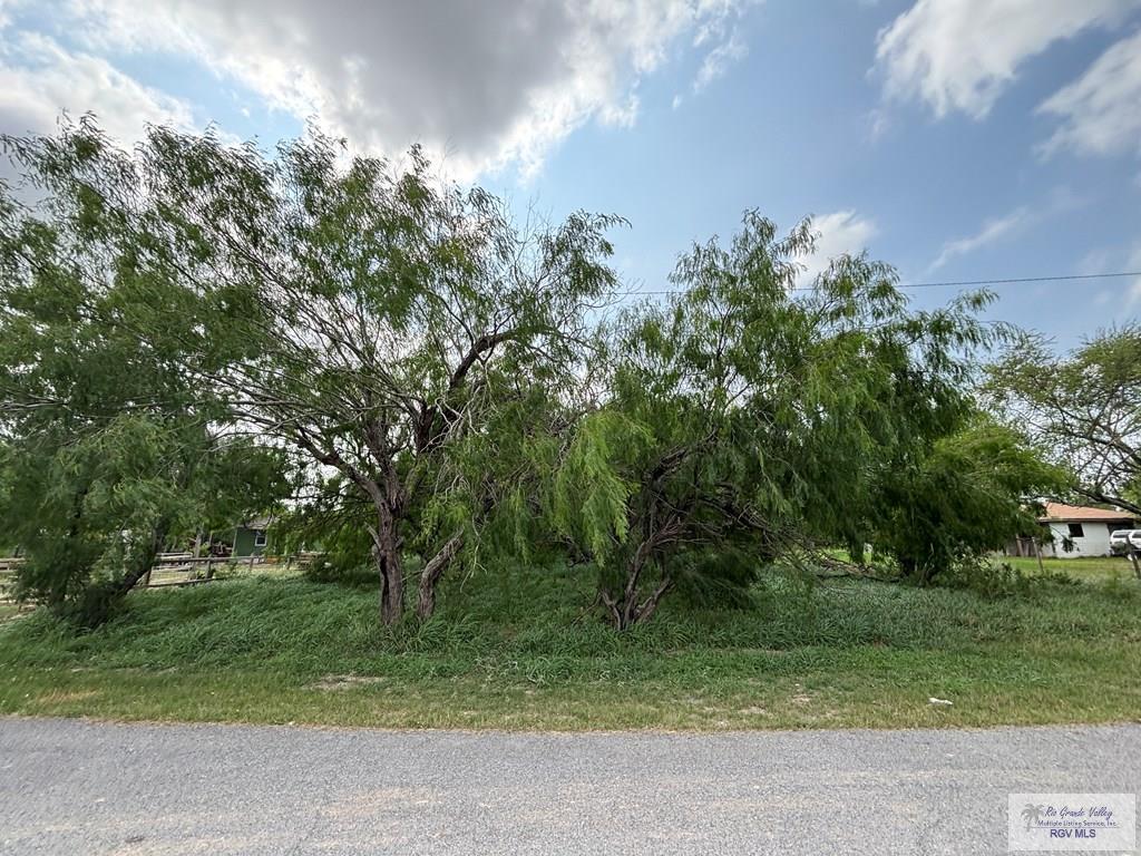 37164 Nicho Esparza Rd, SAN BENITO, Texas image 1