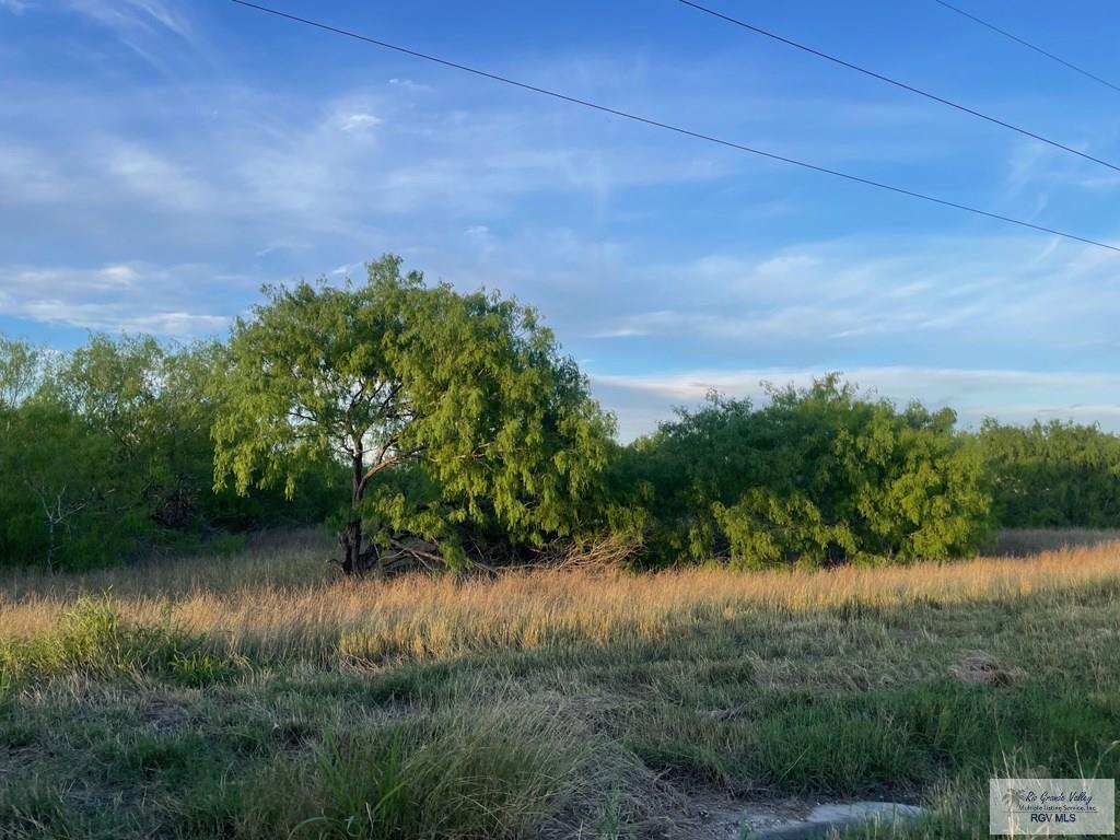 Fm 1732, OLMITO, Texas image 4