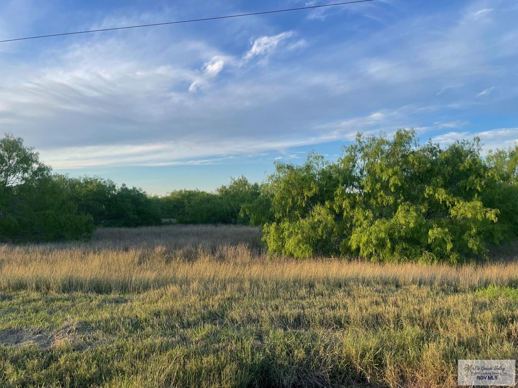 Fm 1732, OLMITO, Texas image 1