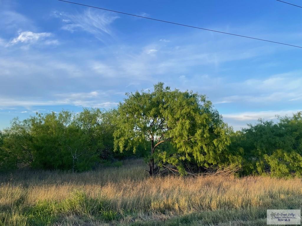 Fm 1732, OLMITO, Texas image 5