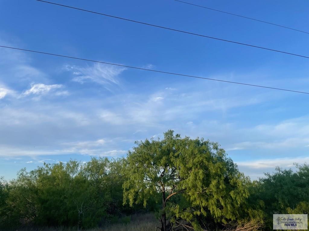 Fm 1732, OLMITO, Texas image 6