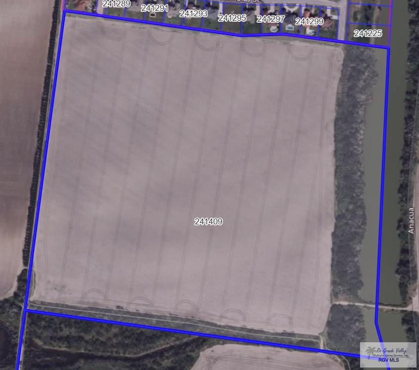 00 Jacklyn St, OLMITO, Texas image 6