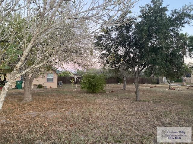 721 Alamo St, MERCEDES, Texas image 3