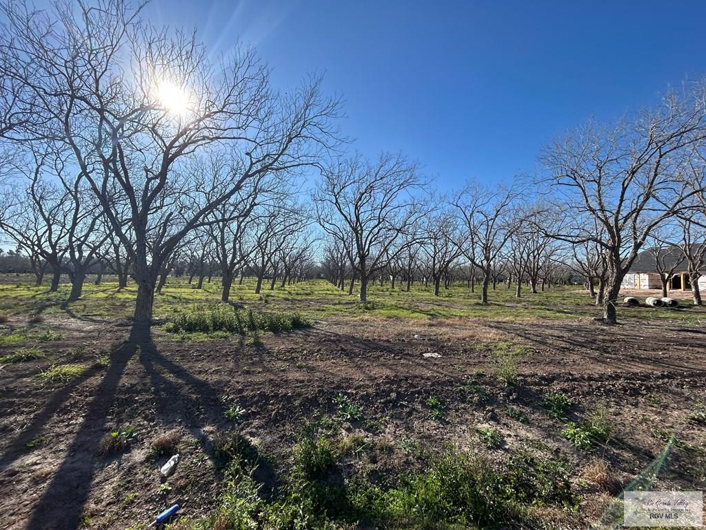 Lot 22 Cook Ln, HARLINGEN, Texas image 2