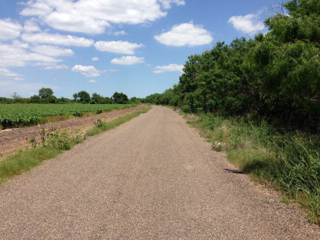 55 Acres Us Highway 281, BROWNSVILLE, Texas image 10