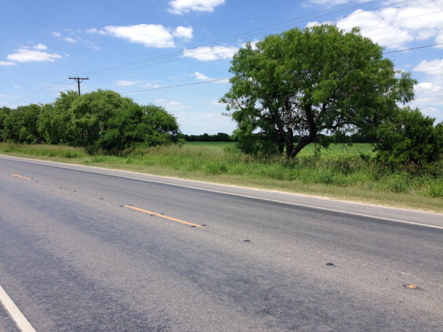 55 Acres Us Highway 281, BROWNSVILLE, Texas image 4