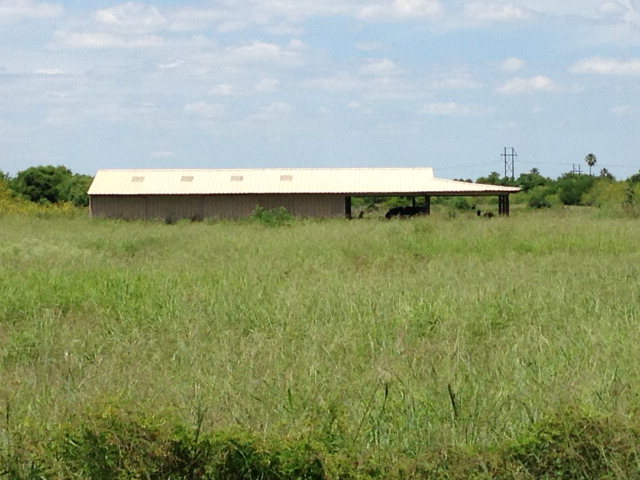 55 Acres Us Highway 281, BROWNSVILLE, Texas image 7