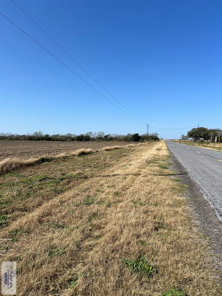 +/- 100 AC W Fm 2209, SAN PERLITA, Texas image 2